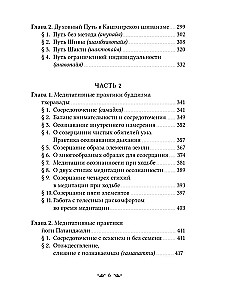 Der Weg zur Absoluten Freiheit im Kaschmirischen Shivaismus. Theoretische Grundlagen und Methoden der Meditation
