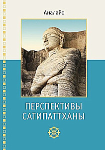 Perspektywy Satipatthany