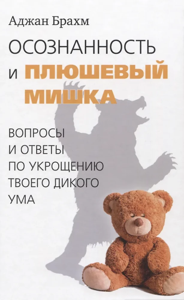 Mindfulness and Teddy Bear. Questions and Answers on Taming Your Wild Mind