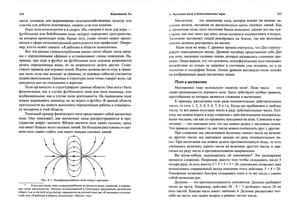 Quantum Mind: The Intersection of Physics and Psychology