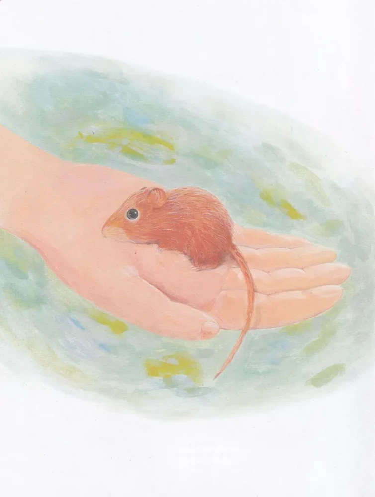 Forest Stories. Tales About Animals