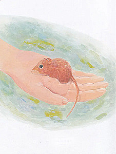 Forest Stories. Tales About Animals