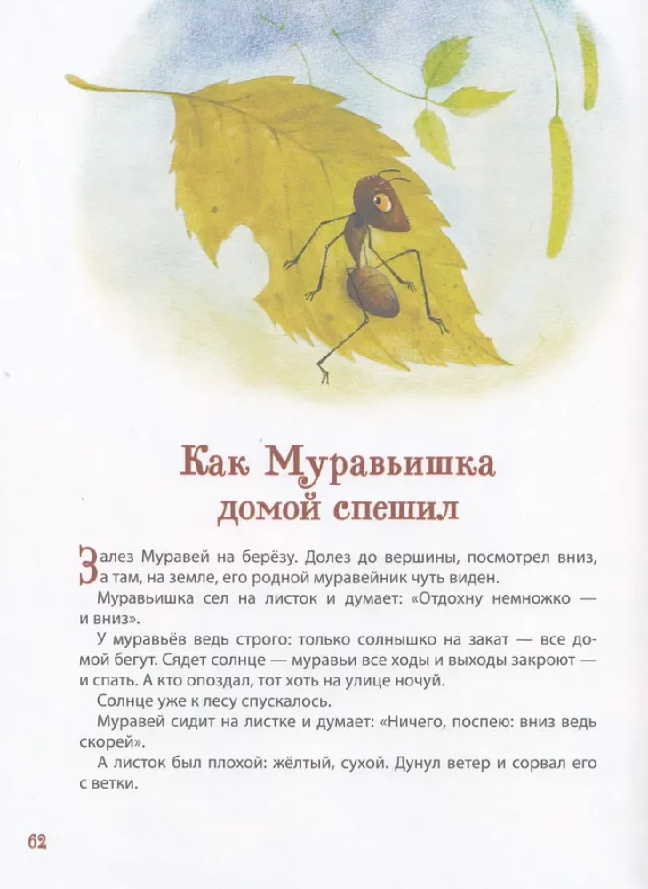 Forest Stories. Tales About Animals