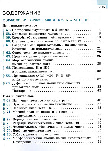 Русский язык. 6 класс. Учебник. В двух частях. Часть 2