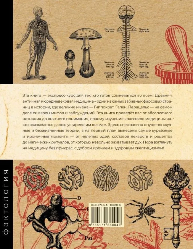 Основы медицины, о которых пора забыть