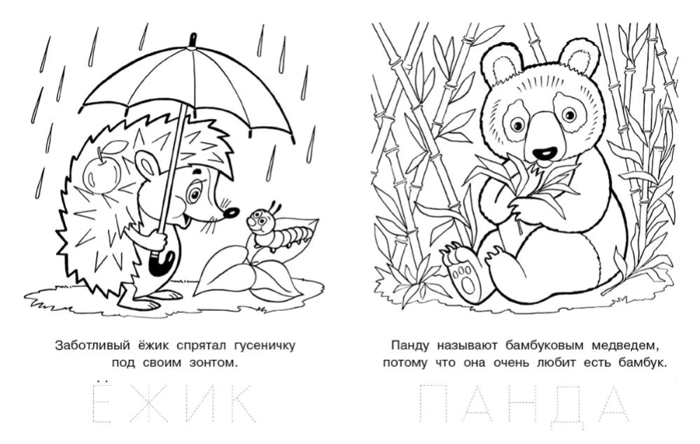 Friendly Bunny