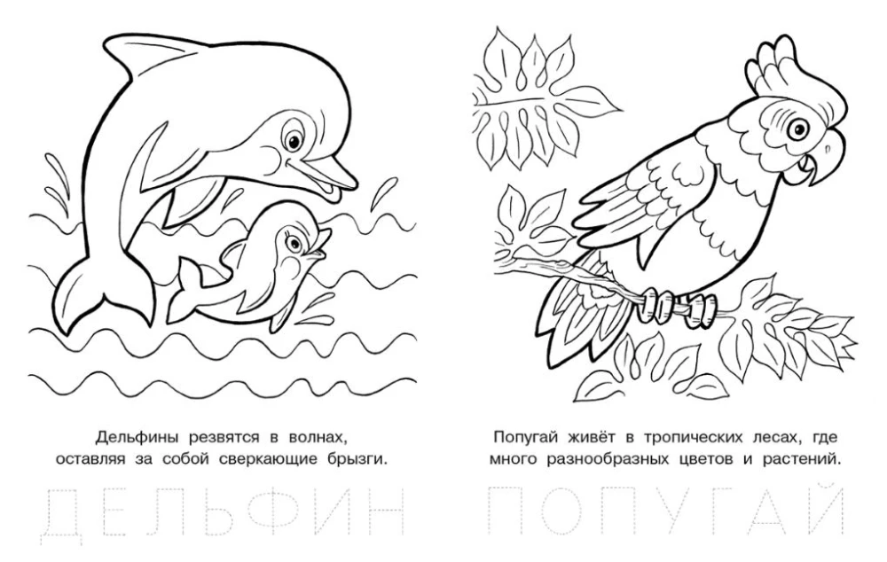 Забавный бельчонок