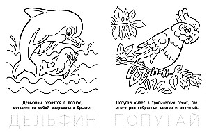 Забавный бельчонок