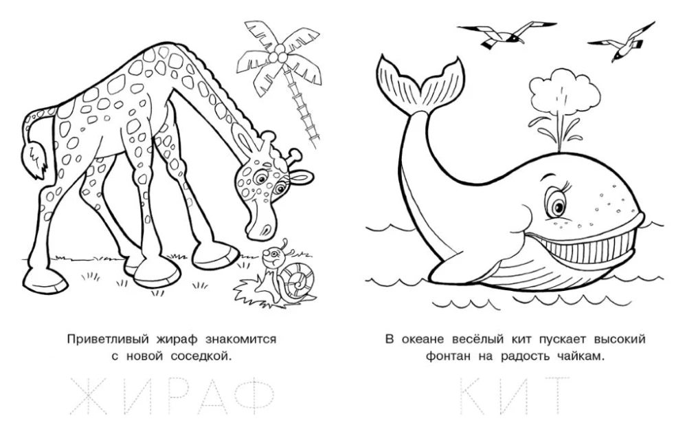 Любопытный щенок