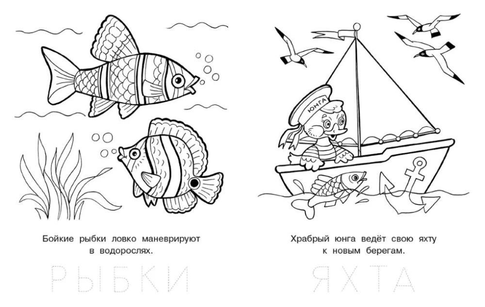 Любопытный щенок