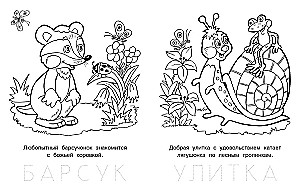 Озорной лягушонок