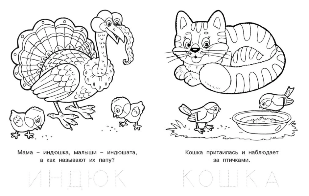 Озорной лягушонок