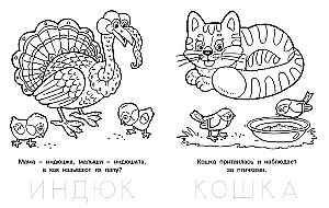Озорной лягушонок