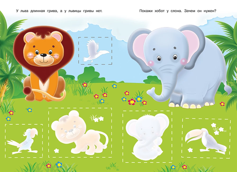 Application. Zoo