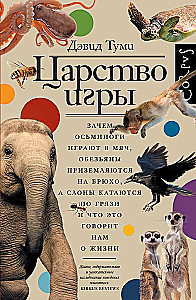 Царство игры