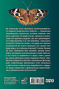 Butterflies. An Illustrated Guide