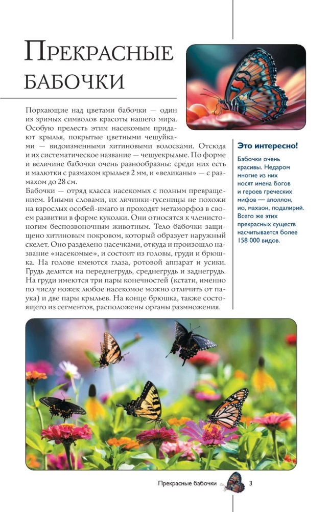 Liblikad. Illustreeritud giid