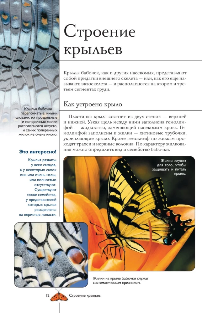 Liblikad. Illustreeritud giid