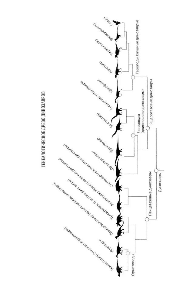 The Time of Dinosaurs: A New History of Ancient Reptiles
