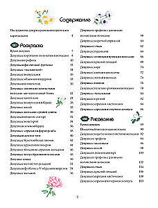 KART: Красота в деталях. Раскраска