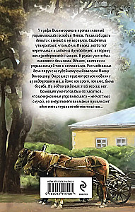 The Mystery of the Old Suitcase
