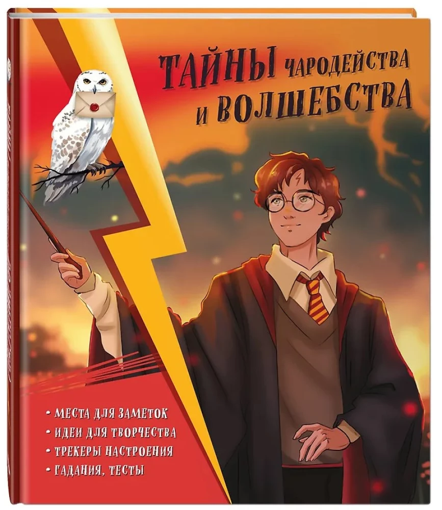 Tajemnice czarostwa i magii. Książka twórczości i inspiracji (Harry)