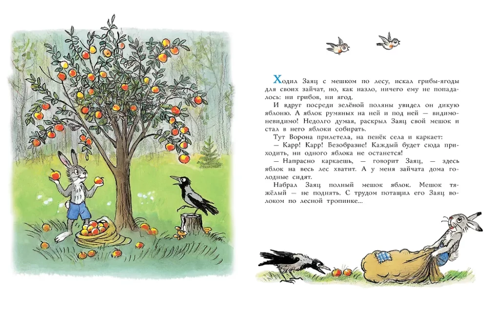A Bag of Apples. Illustrations by the author
