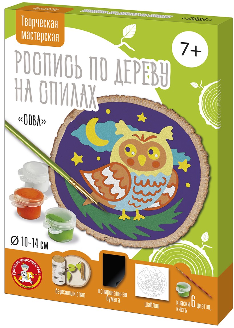 Wood Painting on Cross-sections - Owl