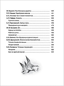 Everything for summer reading in primary school