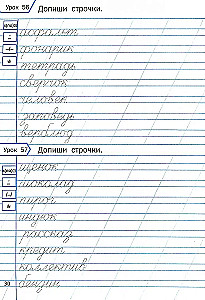 Copywriting Workbook. Learning to Write Correctly. 2nd Grade