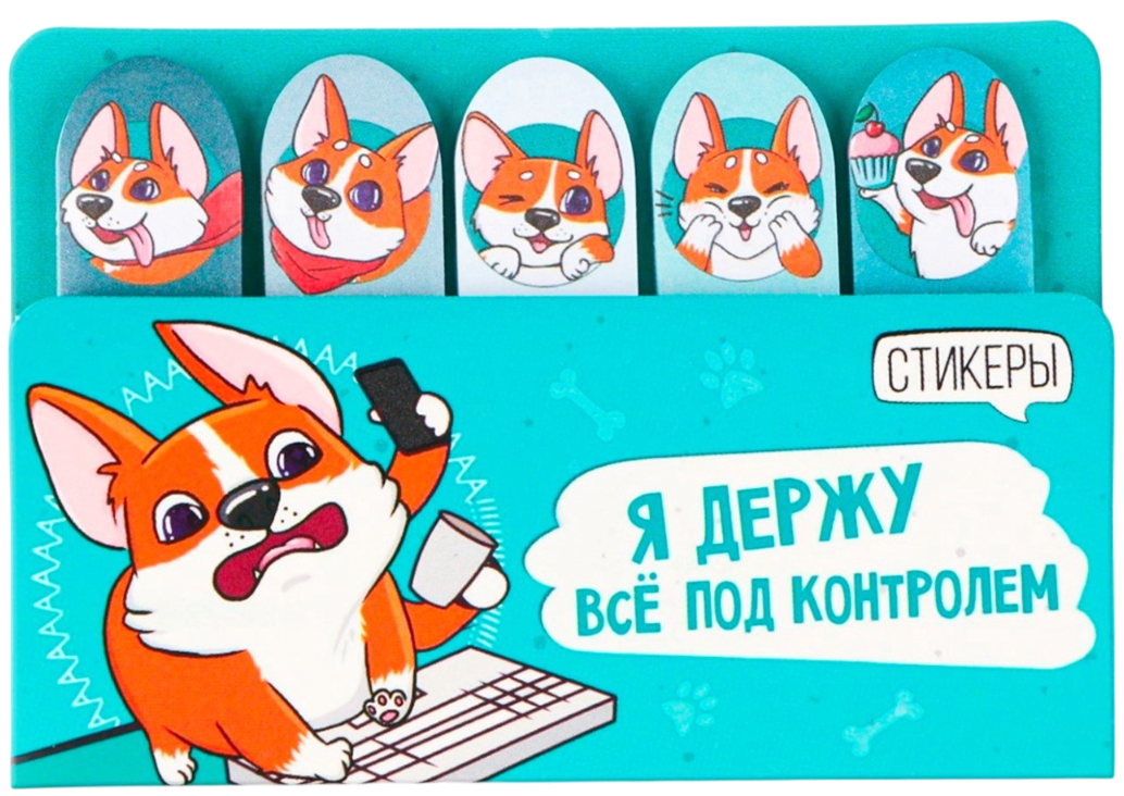 Set von Haftnotizen - Ich habe alles unter Kontrolle", 5 Stück, 20 Blätter