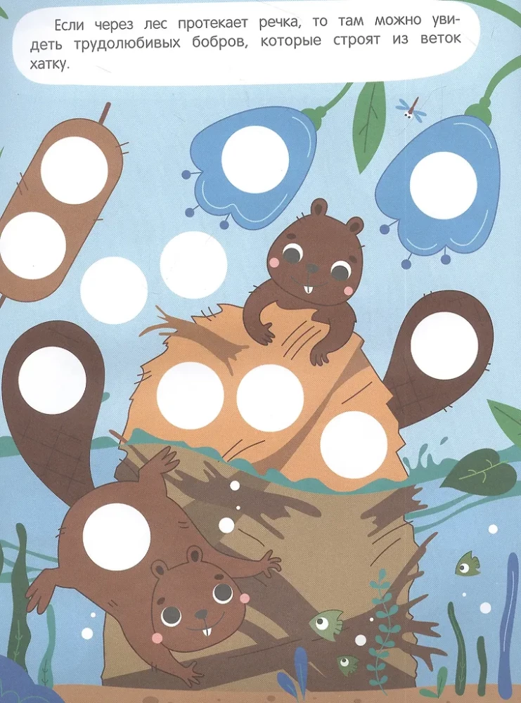 Forest: Sticker Book