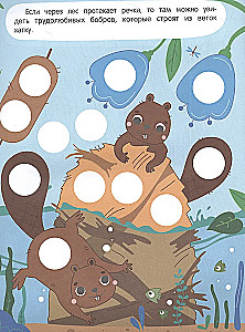 Forest: Sticker Book