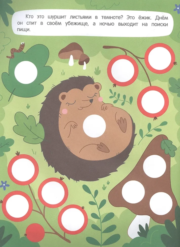 Forest: Sticker Book
