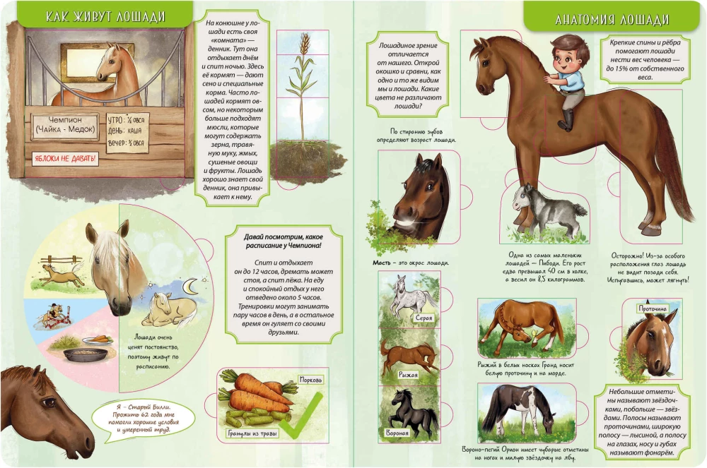 Encyklopedia z okienkami. Moja pierwsza książka o koniach