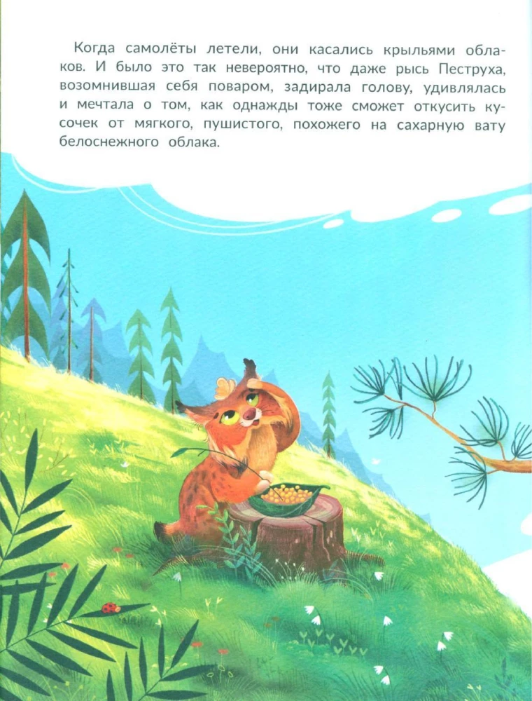 The Great Dream of the Owl Shipa