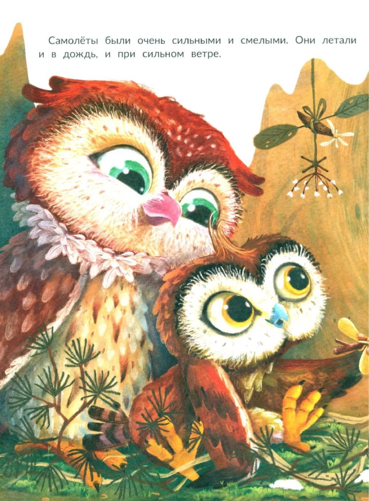 The Great Dream of the Owl Shipa