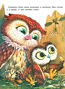 The Great Dream of the Owl Shipa