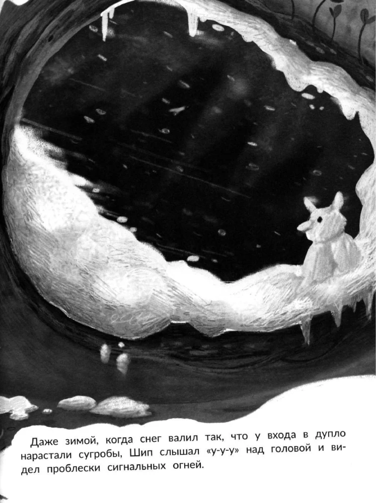 The Great Dream of the Owl Shipa