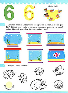 Account. Sticker Book (80 Stickers)