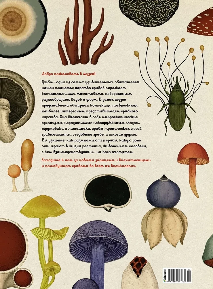 Pilzarium