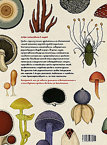 Pilzarium