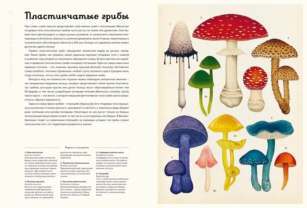 Pilzarium