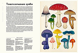 Pilzarium