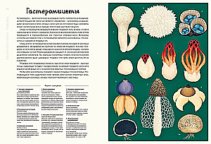 Pilzarium