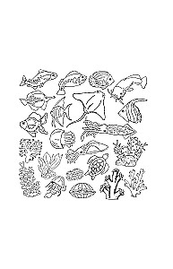 Endless Ocean. Anti-Stress Coloring