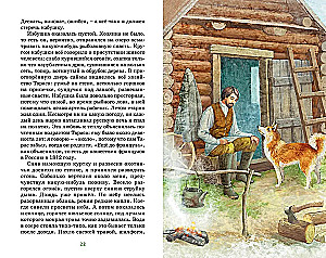 Graue Entenküken