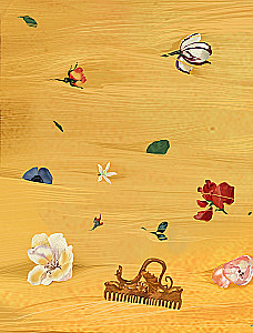 Rapunzel. Illustrationen von Gali Zinko