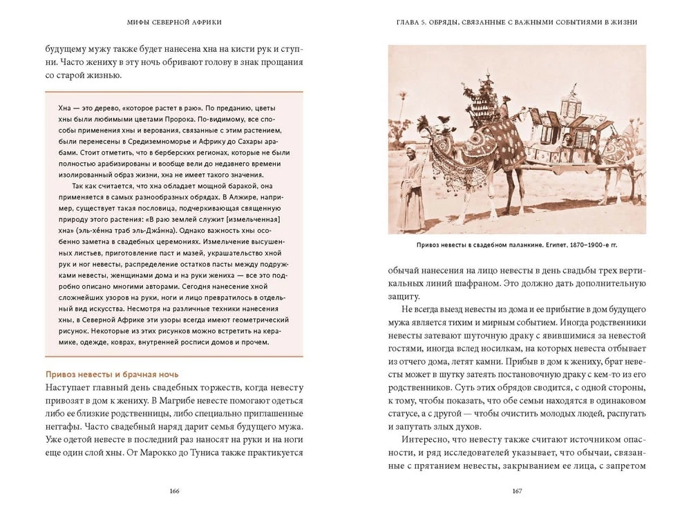Myths of North Africa. From the Sheshra Tree with Golden Leaves to the Goddess Tanit and the Egyptian Changeling