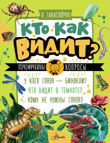 Kto jak widzi?